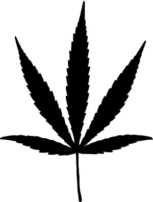 Weed