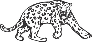 Leopard Cheetah Cat Animal