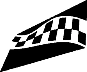 Racing Checkered Flags-cflag_021-SGD