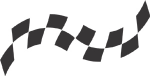 Racing Checkered Flags-cflag_022-SGD