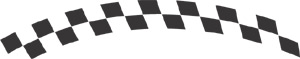 Racing Checkered Flags-cflag_023-SGD