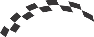 Racing Checkered Flags-cflag_030-SGD
