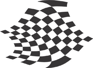 Racing Checkered Flags-cflag_035-SGD