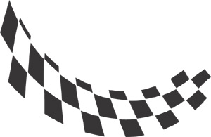 Racing Checkered Flags-cflag_041-SGD
