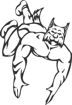 Sport Mascots