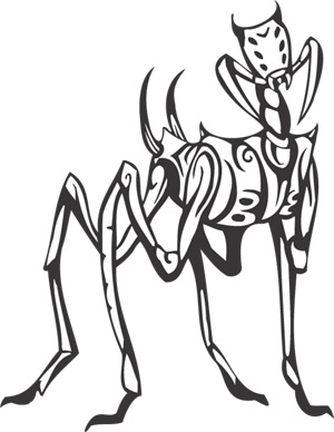 Predatory Insects