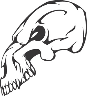 Skull & Bones