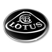3D Domed Gel LOTUS Black and Chrome Wheel Center Badges Decals Set of 4