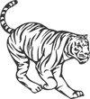 Tiger Cat Animal