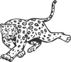 Leopard Cheetah Cat Animal