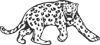 Leopard Cheetah Cat Animal