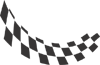 Racing Checkered Flags-cflag_039-SGD