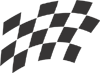 Racing Checkered Flags-cflag_045-SGD