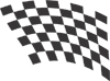 Racing Checkered Flags-cflag_047-SGD