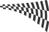 Racing Checkered Flags-cflag_051-SGD