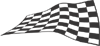 Racing Checkered Flags-cflag_052-SGD