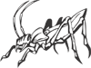 Predatory Insects