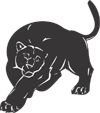 Panther Cat Animal