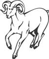 Ram Animal